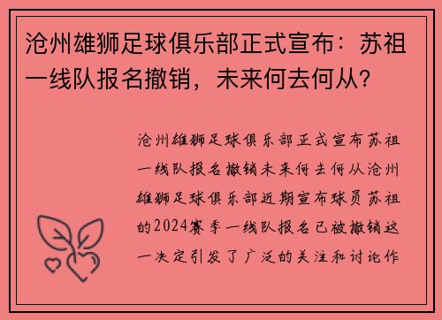 沧州雄狮足球俱乐部正式宣布：苏祖一线队报名撤销，未来何去何从？