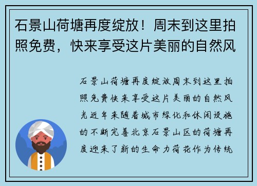 石景山荷塘再度绽放！周末到这里拍照免费，快来享受这片美丽的自然风光！